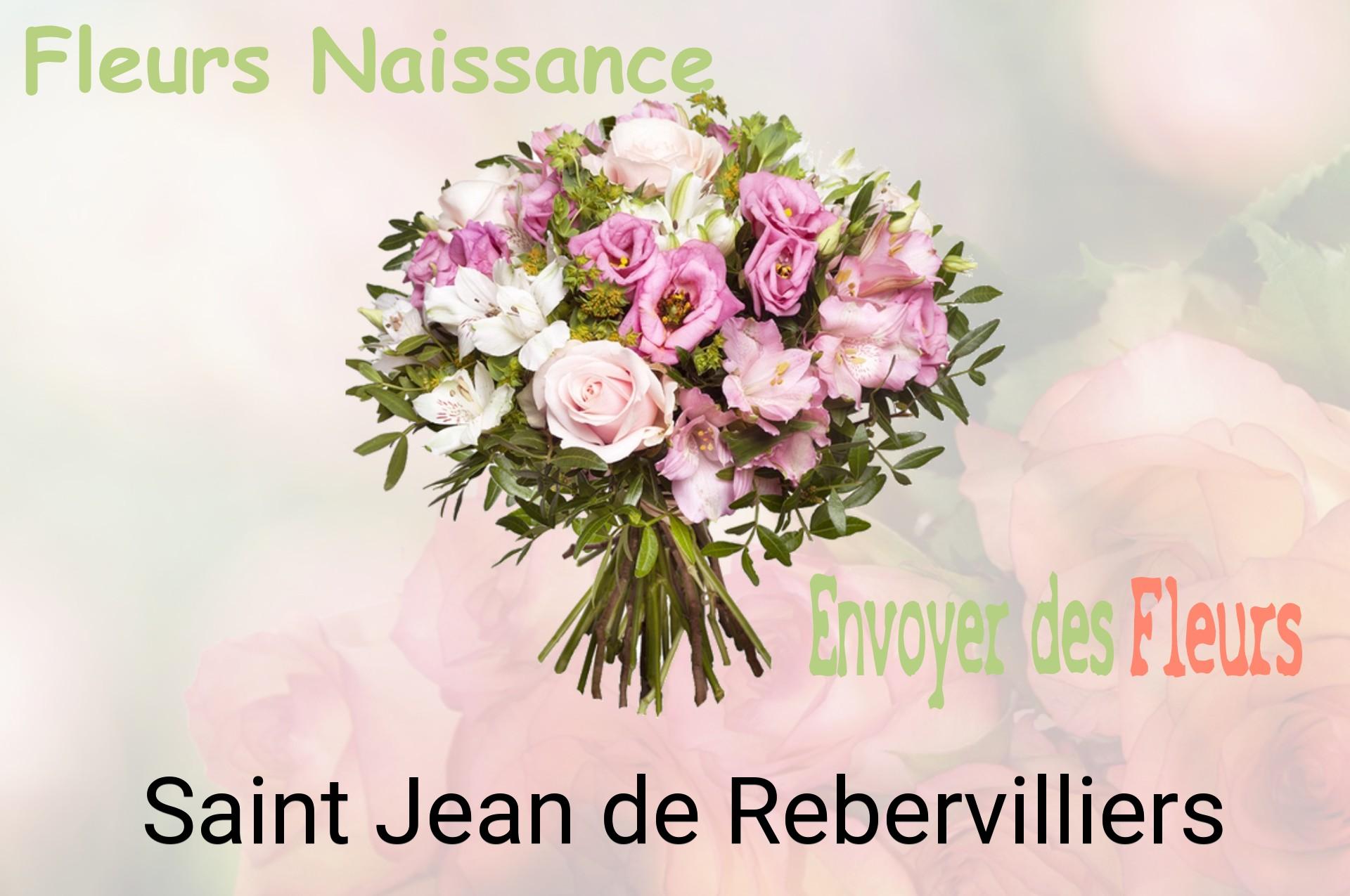 Bouquet de fleurs de naissance livré à Saint-Jean-de-Rebervilliers