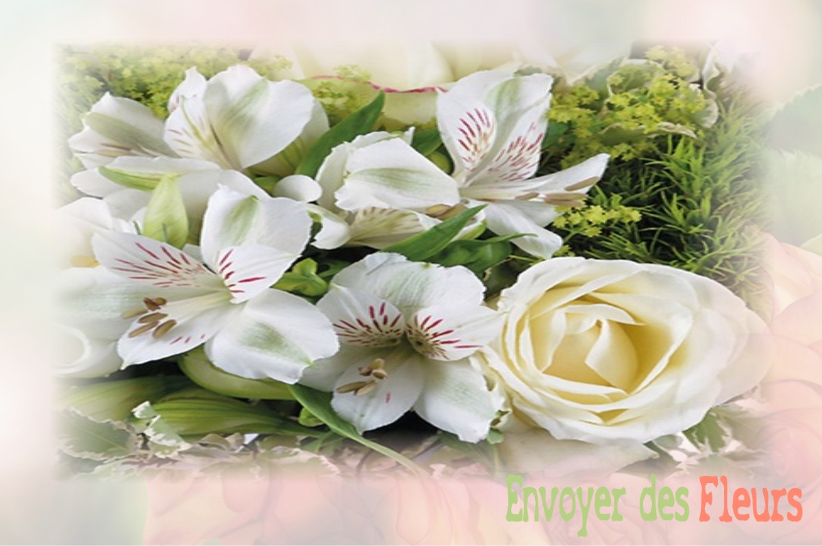 envoyer des fleurs à à SAINT-JEAN-DE-REBERVILLIERS